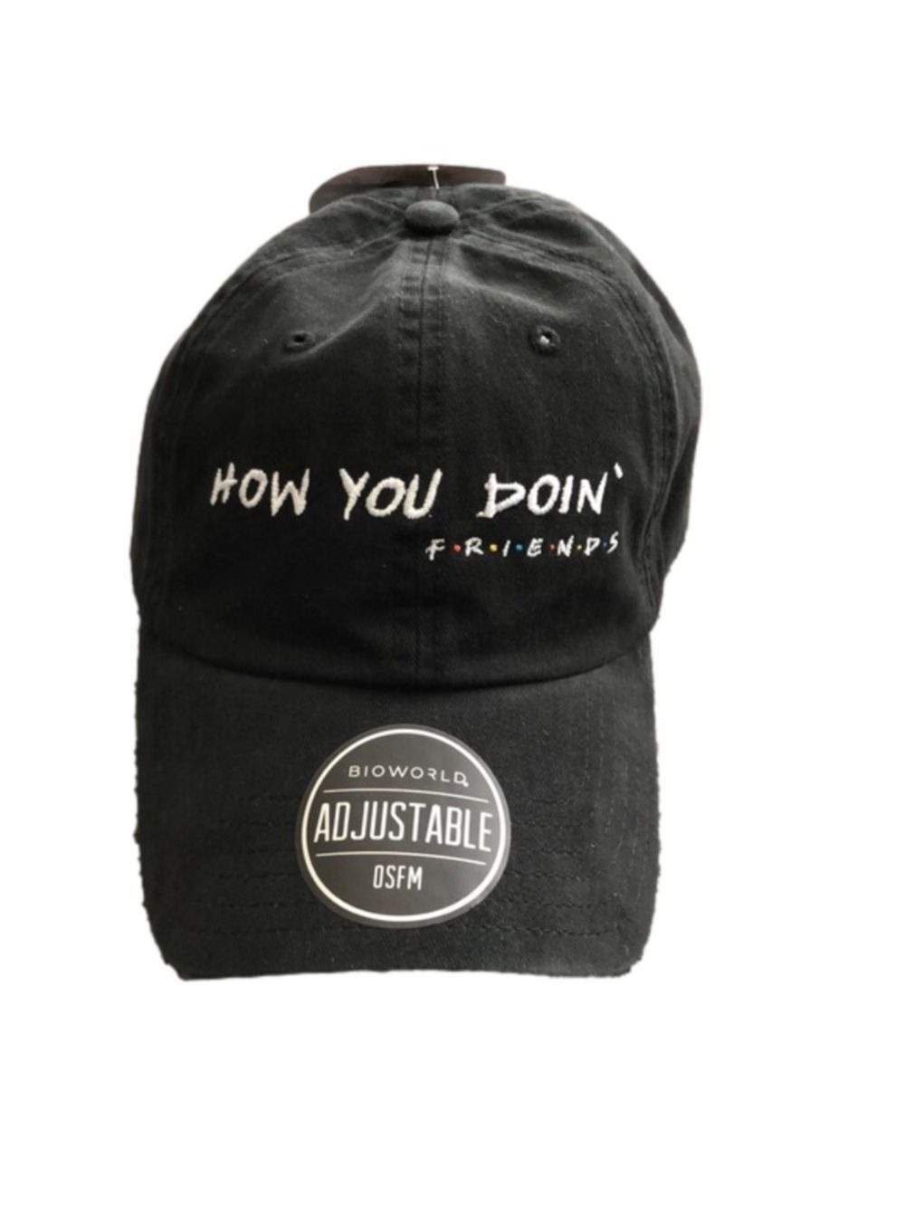 FRIENDS “How you doin’” ball cap by Bioworld.  OS